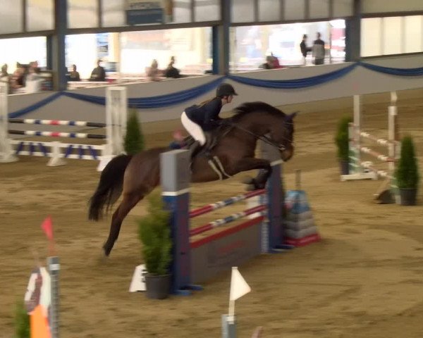 Reitturnier Buchs 2022
