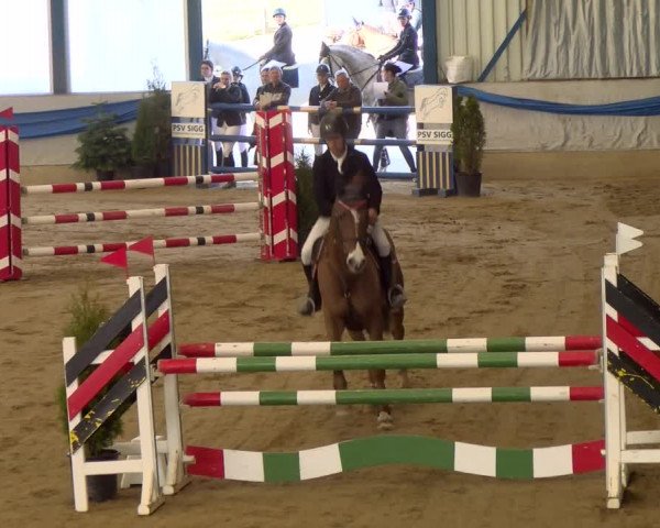 Reitturnier Buchs 2022