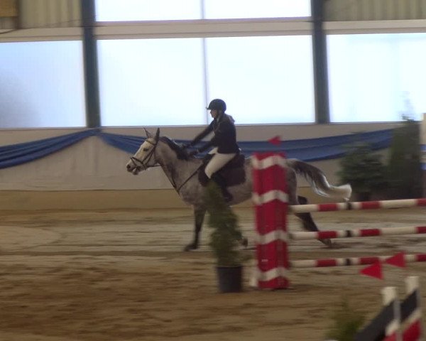Reitturnier Buchs 2022