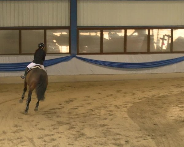 Reitturnier Buchs 2022