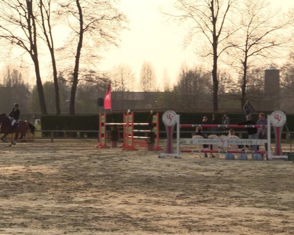 Münster-Handorf | Late Entries Frühlingserwachen 2022