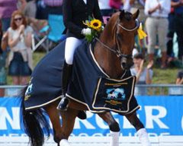dressage horse Doubleyou W (Hanoverian, 2007, from Don Romantic)