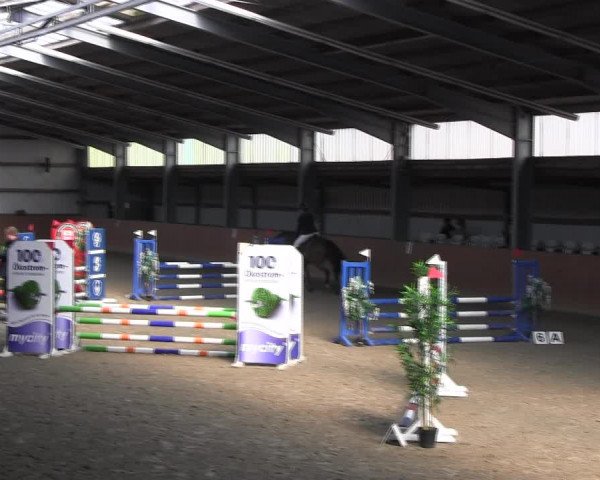 Reitturnier Schlieckau 2022