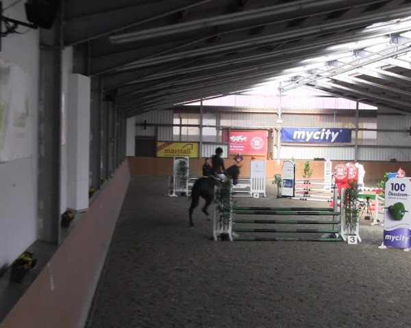 Reitturnier Schlieckau 2022