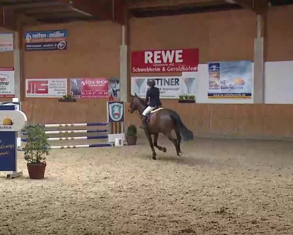 Reitturnier Grafenrheinfeld/Ufr. 2022