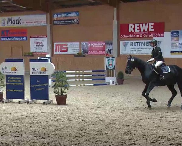 Reitturnier Grafenrheinfeld/Ufr. 2022