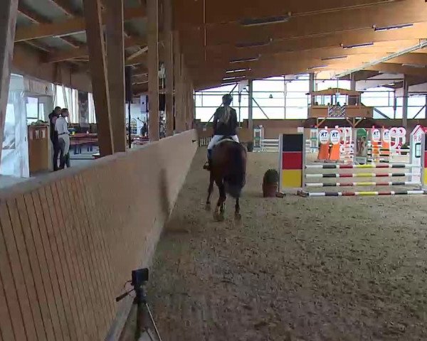 Reitturnier Grafenrheinfeld/Ufr. 2022