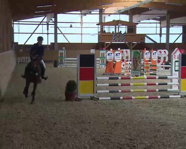 Reitturnier Grafenrheinfeld/Ufr. 2022