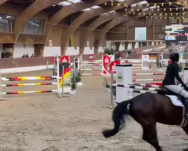 Video von Gut Kappelshof Noélia