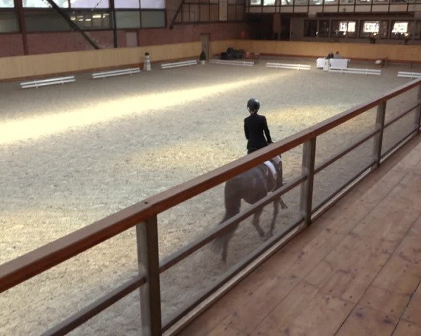 Reitturnier Hamburg-Friedrichshulde/Sylva Kuhrt 2022
