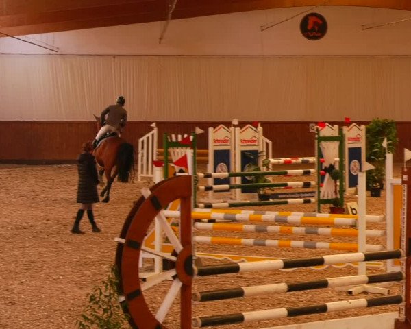Reitturnier Lentzke - Reitanlage Krehl 2022