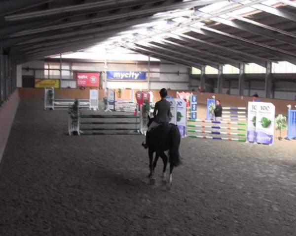 Reitturnier Schlieckau 2022