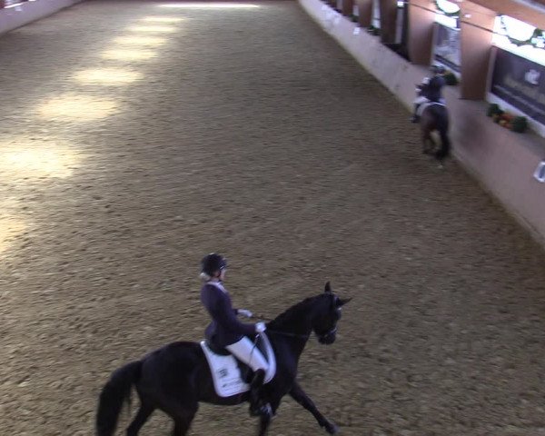 Reitturnier Bad Salzuflen 2022