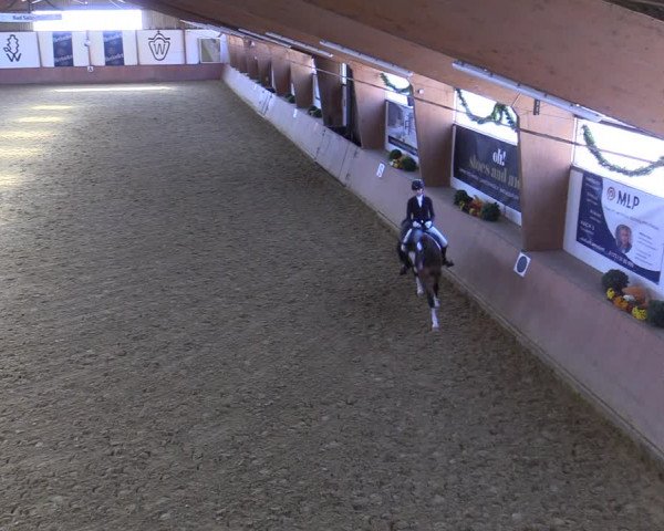Reitturnier Bad Salzuflen 2022