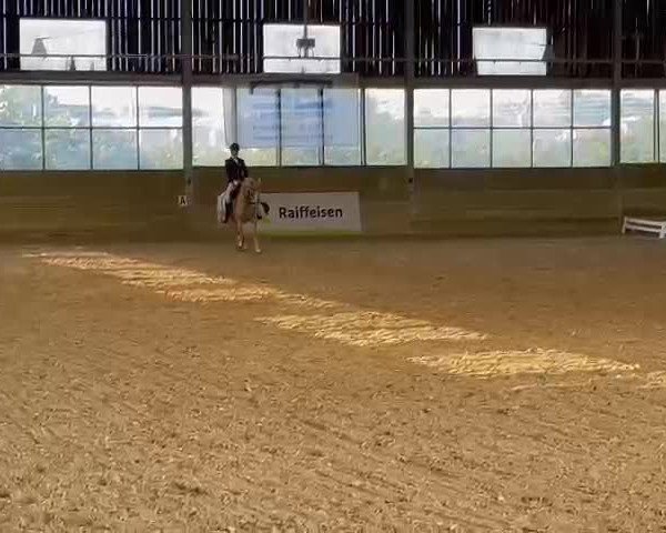 Video of Gracioso Dew-Drop