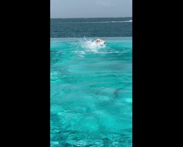 Video of Gracioso Dew-Drop