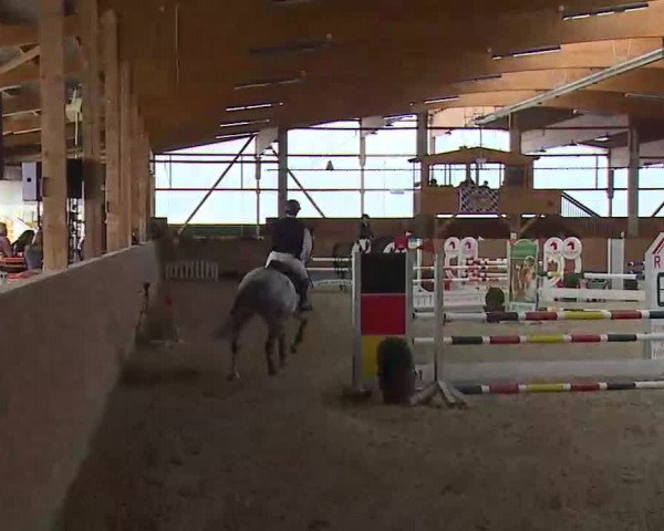 Reitturnier Grafenrheinfeld/Ufr. 2022