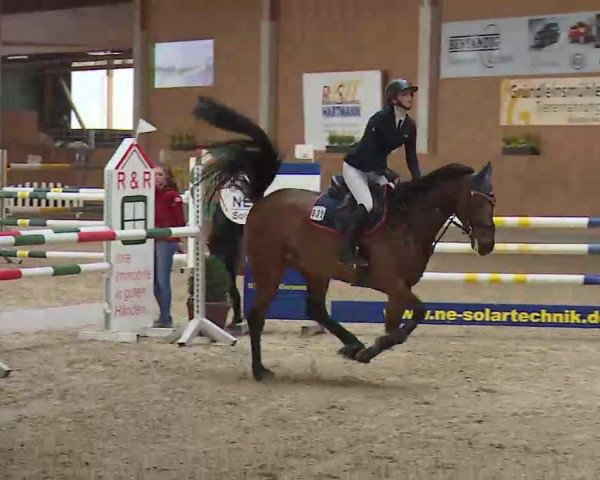Reitturnier Grafenrheinfeld/Ufr. 2022