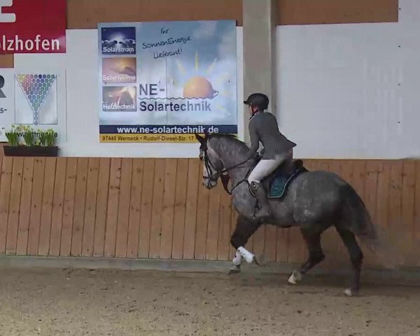 Reitturnier Grafenrheinfeld/Ufr. 2022