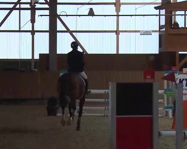 Reitturnier Grafenrheinfeld/Ufr. 2022