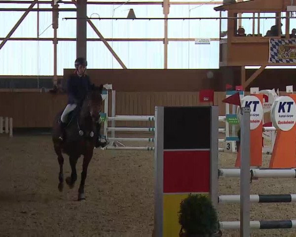 Reitturnier Grafenrheinfeld/Ufr. 2022