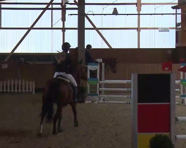 Reitturnier Grafenrheinfeld/Ufr. 2022