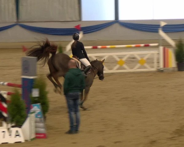 Reitturnier Buchs 2022