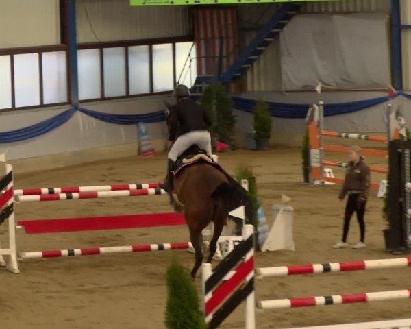 Reitturnier Buchs 2022