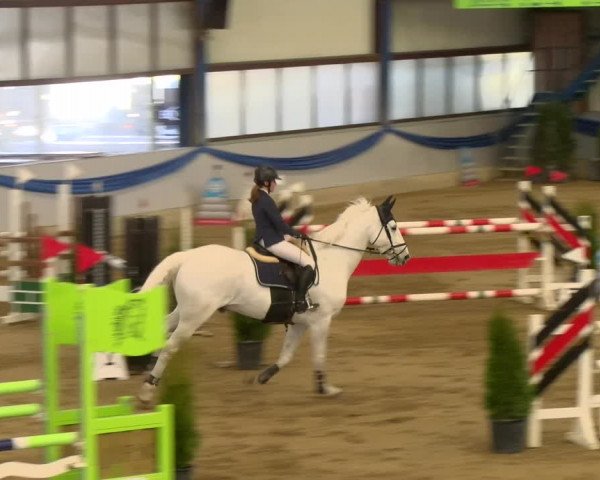 Reitturnier Buchs 2022