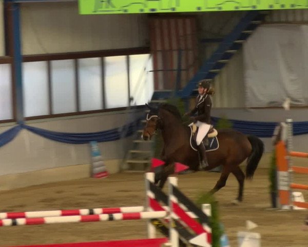Reitturnier Buchs 2022