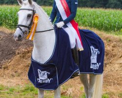 dressage horse Nesquick (German Riding Pony, 1996, from Nedo I)
