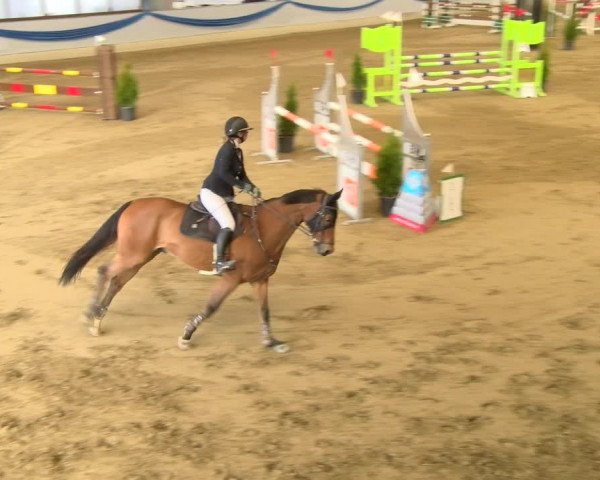 Reitturnier Buchs 2022