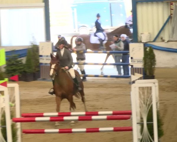 Reitturnier Buchs 2022