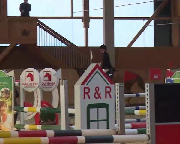 Reitturnier Grafenrheinfeld/Ufr. 2022