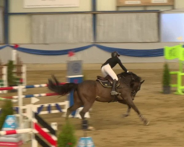 Reitturnier Buchs 2022