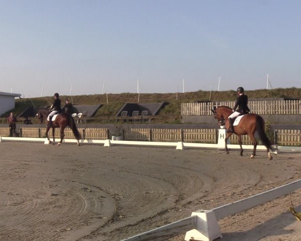 Reitturnier Schülp / Rendsburg 2022