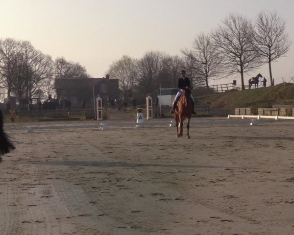 Reitturnier Schülp / Rendsburg 2022