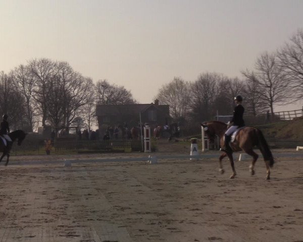 Reitturnier Schülp / Rendsburg 2022