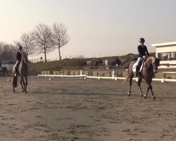 Reitturnier Schülp / Rendsburg 2022