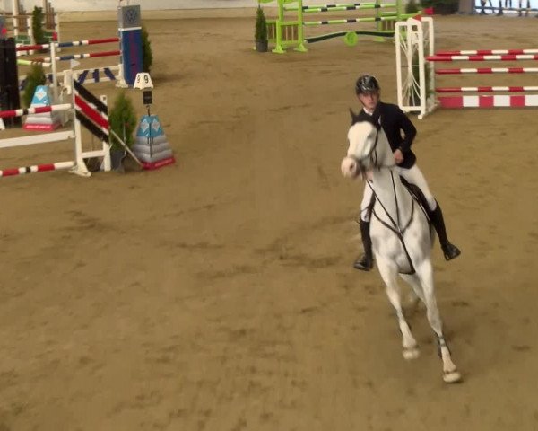 Reitturnier Buchs 2022
