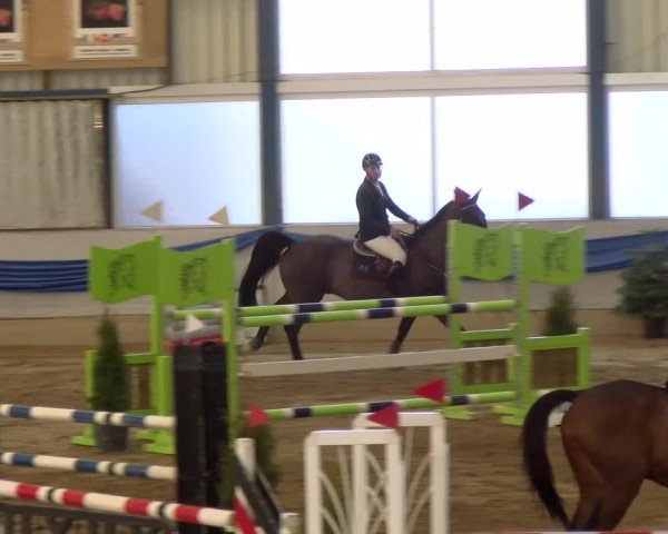 Reitturnier Buchs 2022