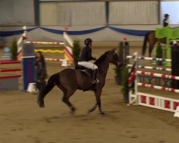 Reitturnier Buchs 2022