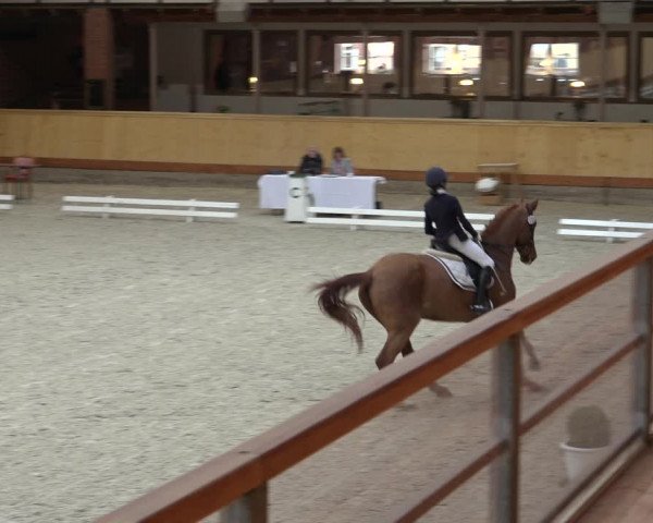 Reitturnier Hamburg-Friedrichshulde/Sylva Kuhrt 2022