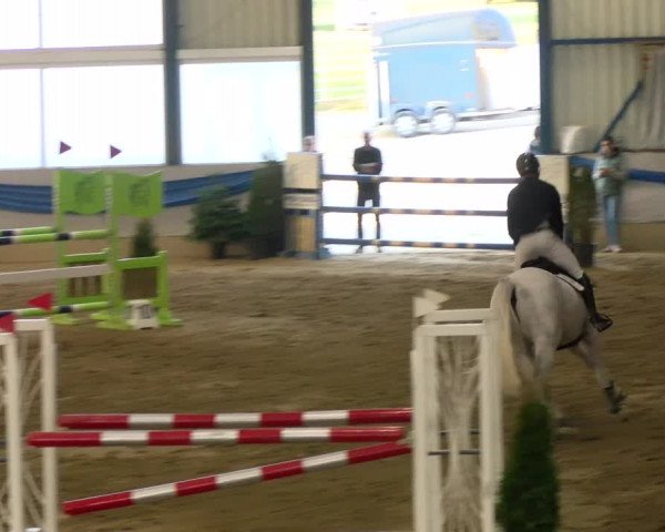 Reitturnier Buchs 2022