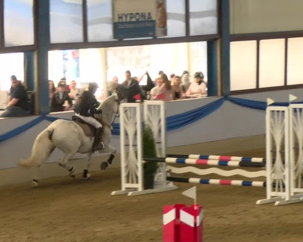 Reitturnier Buchs 2022