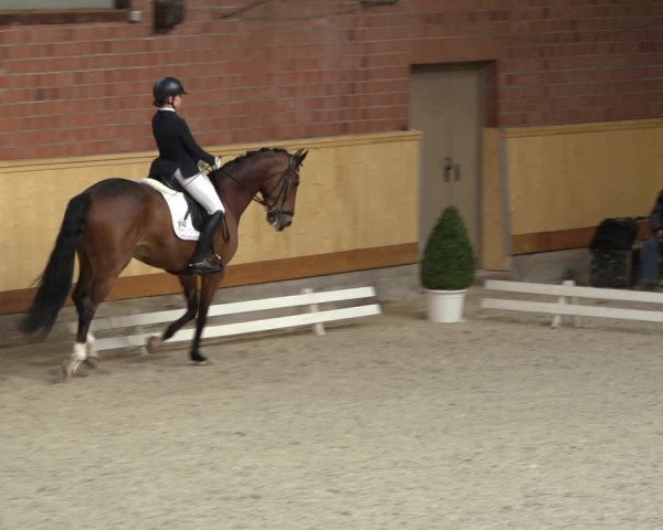 Reitturnier Hamburg-Friedrichshulde/Sylva Kuhrt 2022