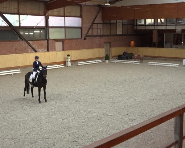 Reitturnier Hamburg-Friedrichshulde/Sylva Kuhrt 2022