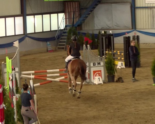 Reitturnier Buchs 2022