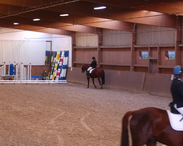 Reitturnier Lentzke - Reitanlage Krehl 2022