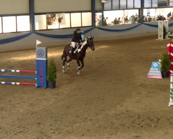 Reitturnier Buchs 2022